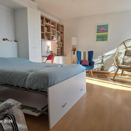 Beautiful Air-conditioned With Balcony Apartment Hyeres